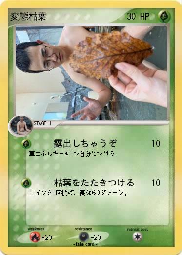 Pokemon 変態枯葉