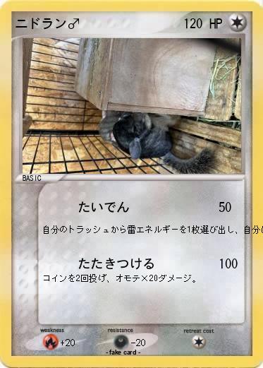 Pokemon ニドラン♂