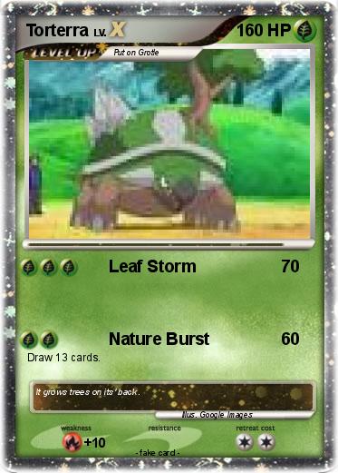 Pokemon Torterra