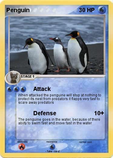 Pokemon Penguin