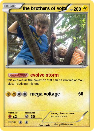 Pokemon the brothers of volts