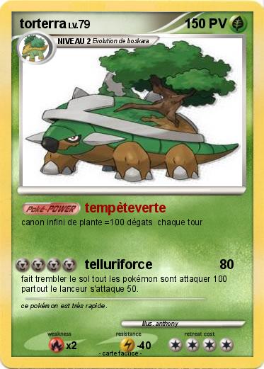 Pokemon torterra