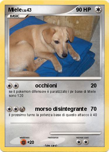 Pokemon Miele