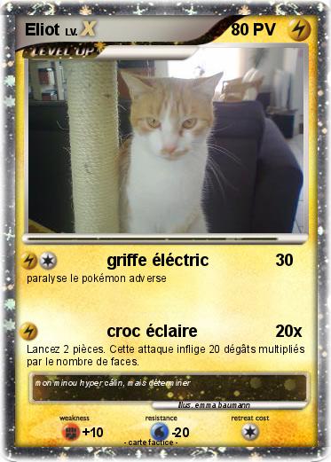 Pokemon Eliot