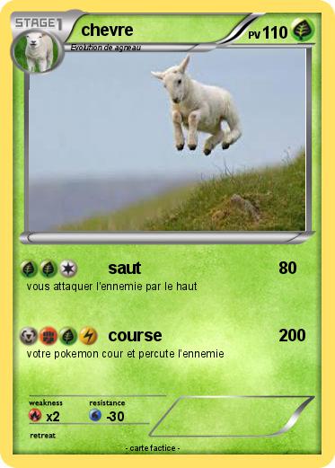 Pokemon chevre