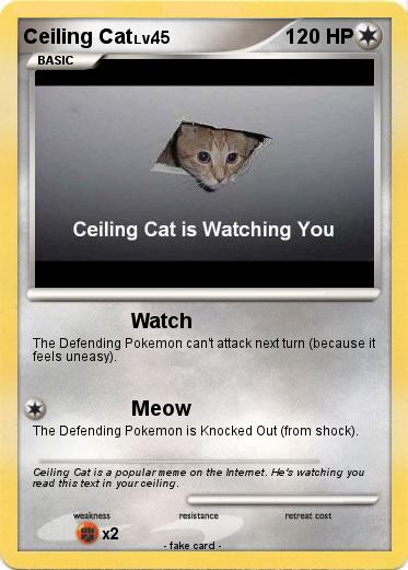 Pokemon Ceiling Cat