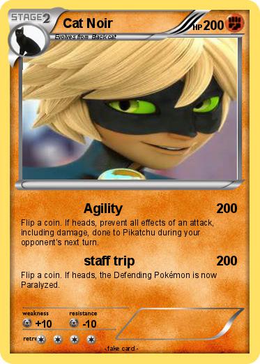 Pokemon Cat Noir