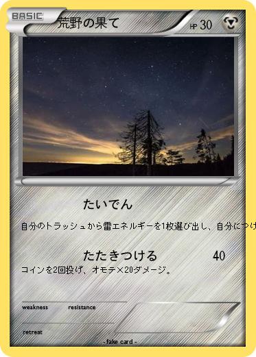 Pokemon 荒野の果て