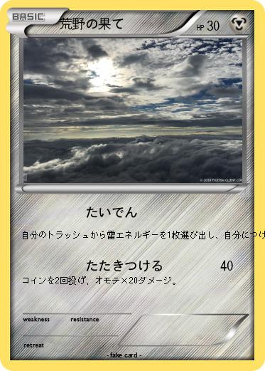 Pokemon 荒野の果て