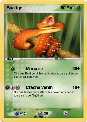 Pokemon Boatige