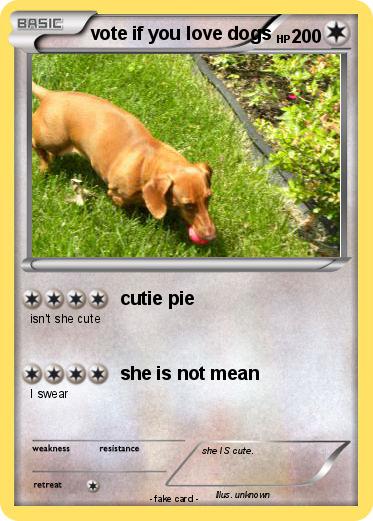 Pokemon vote if you love dogs