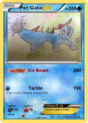 Pokemon Pet Gabe