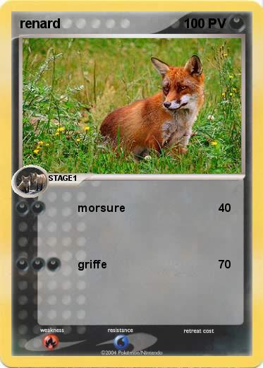 Pokemon renard
