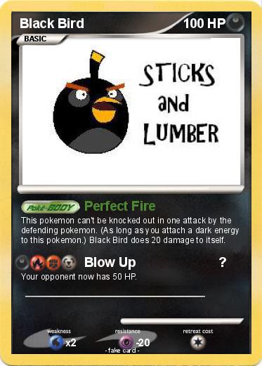 Pokemon Black Bird
