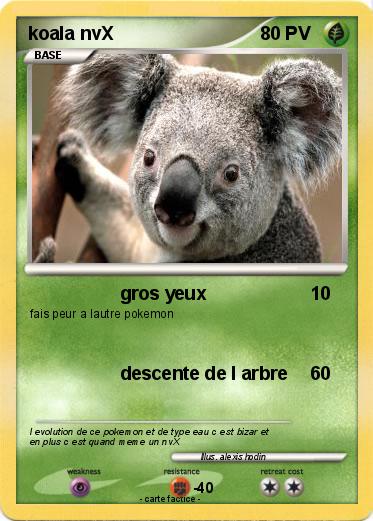Pokemon koala nvX