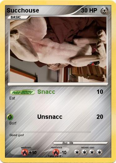 Pokemon Succhouse
