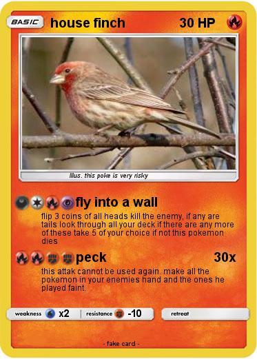 Pokemon house finch