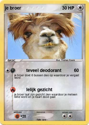 Pokemon je broer