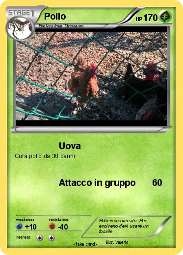 Pokemon Pollo