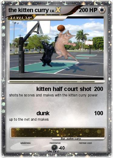 Pokemon the kitten curry