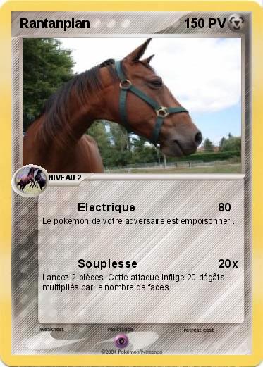 Pokemon Rantanplan