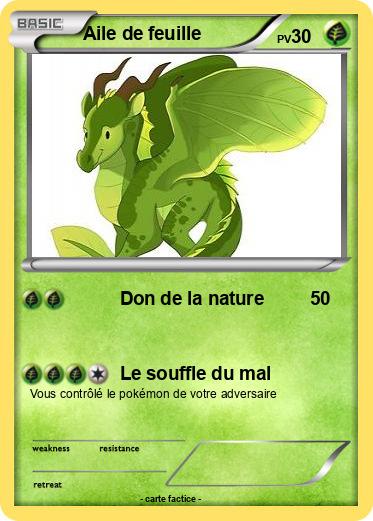 Pokemon Aile de feuille