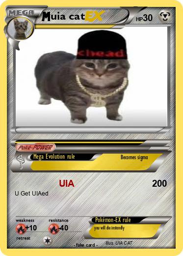Pokemon uia cat