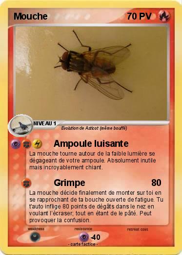 Pokemon Mouche