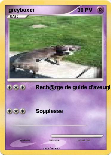 Pokemon greyboxer
