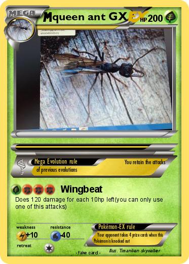 Pokemon queen ant GX