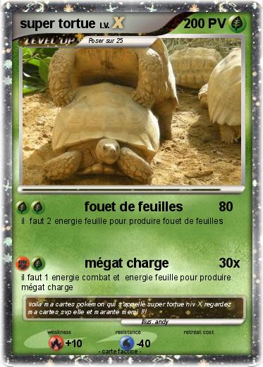 Pokemon super tortue