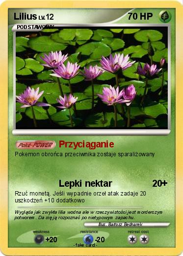 Pokemon Lilius