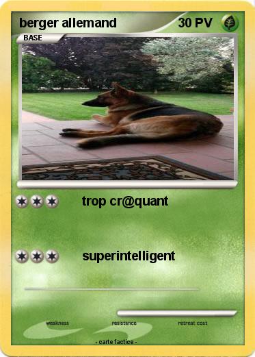 Pokemon berger allemand