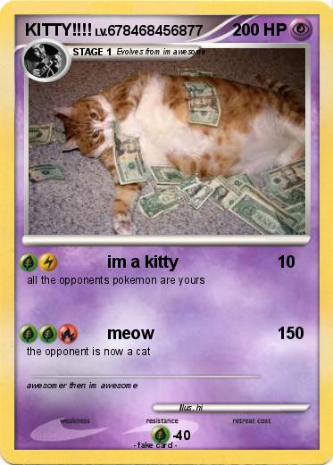 Pokemon KITTY!!!!