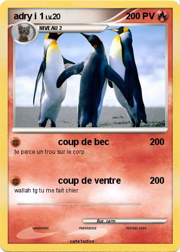 Pokemon adry i 1