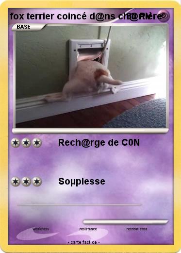 Pokemon fox terrier coincé d@ns ch@rtière