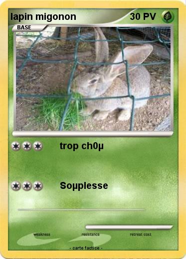 Pokemon lapin migonon