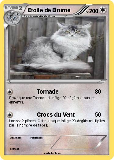 Pokemon Etoile de Brume