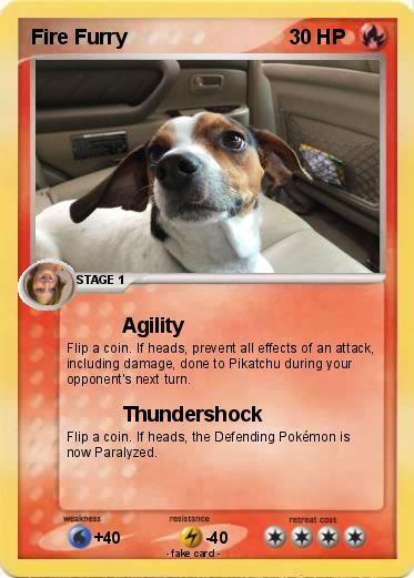 Pokemon Fire Furry