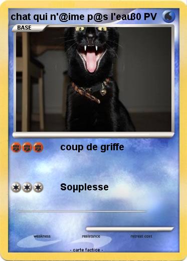 Pokemon chat qui n'@ime p@s l'eau