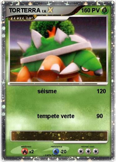 Pokemon TORTERRA