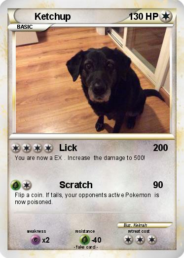 Pokemon Ketchup