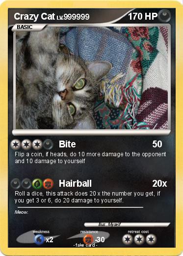 Pokemon Crazy Cat