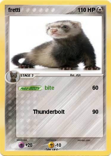 Pokemon fretti
