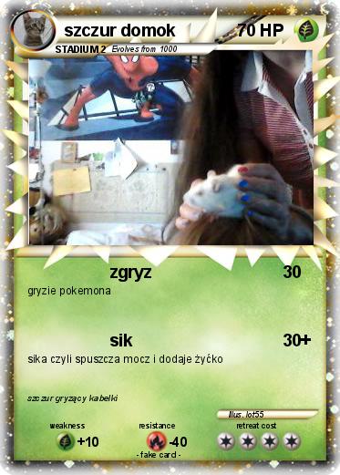 Pokemon szczur domok