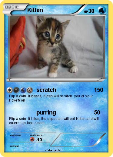 Pokemon Kitten