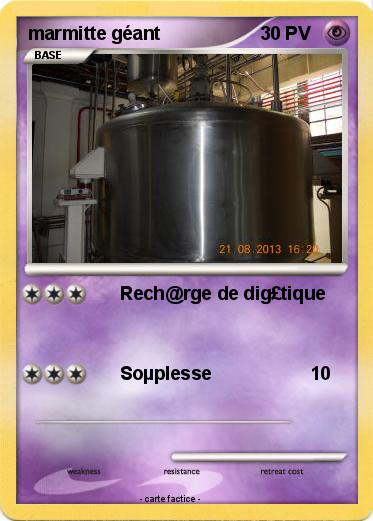 Pokemon marmitte géant
