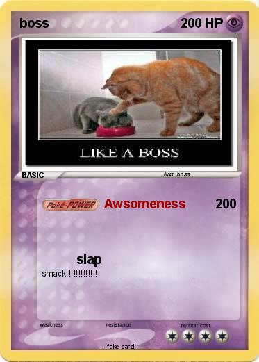 Pokemon boss