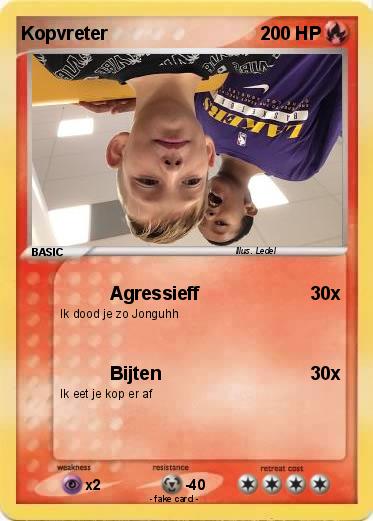 Pokemon Kopvreter