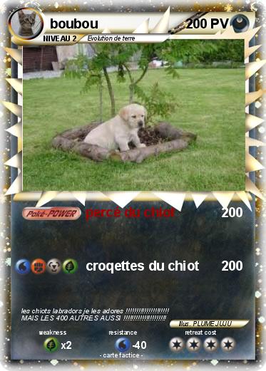 Pokemon boubou